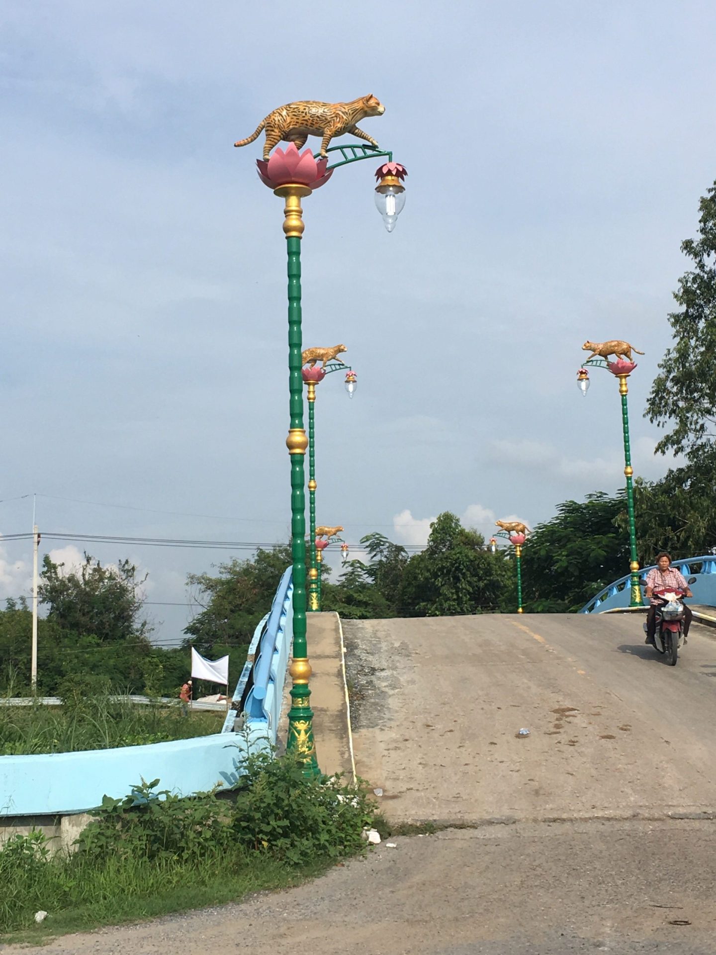 องค์การบริหารส่วนตำบลหนองสามวัง