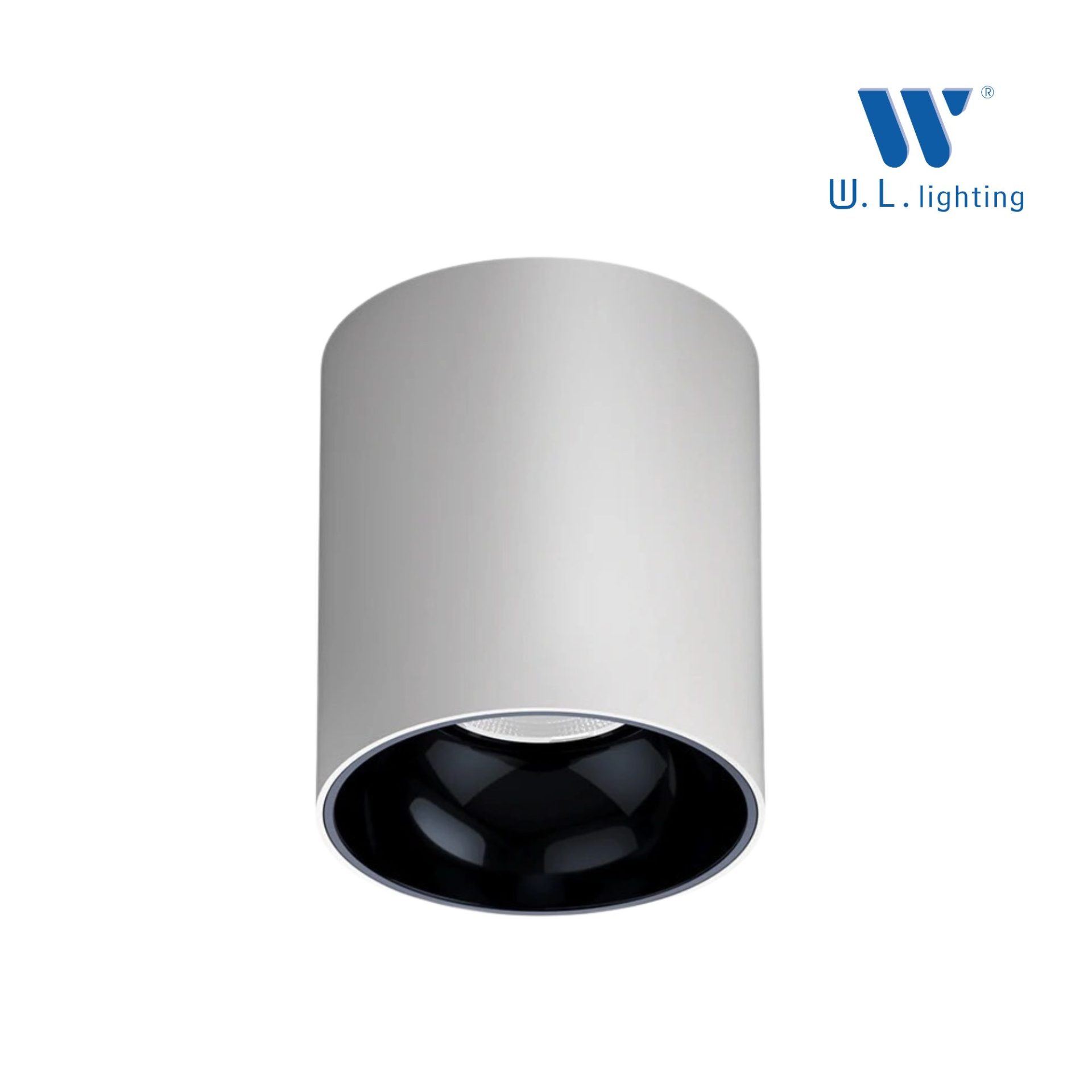 Waterproof Surface Downlight โคมไฟดาวน์ไลท์ ติดลอย กันน้ำ IP65 LED 10W/20W/30W รุ่น WL-S450 - Image 2