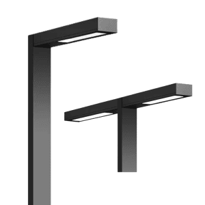 Pole